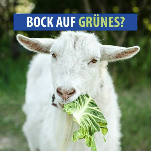 Bock auf Grünes?